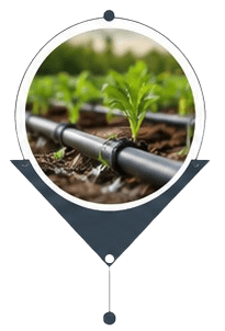 Agriculture & Irrigation